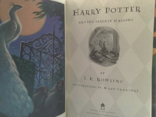 Actual Product Display 2