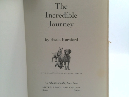 Actual Product Display 2