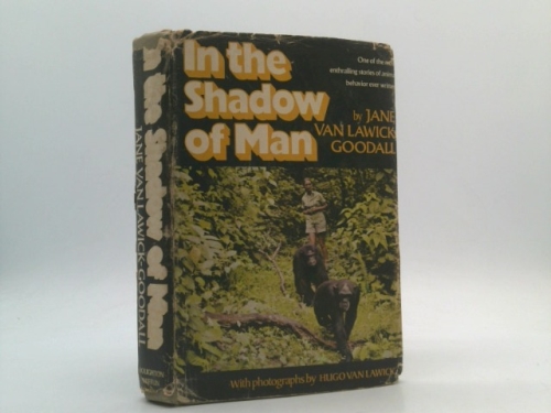 In the Shadow of Man