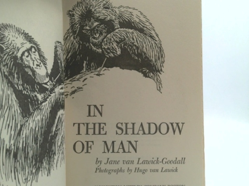 Actual Product Display 2