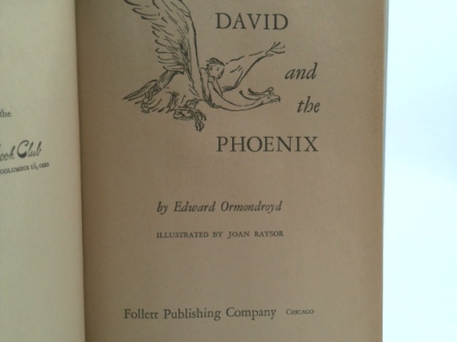 Actual Product Display 2