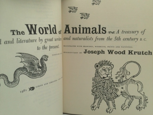 Actual Product Display 2