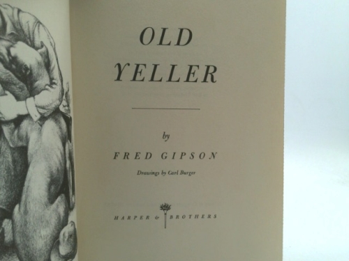 Actual Product Display 2