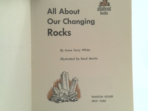 Actual Product Display 2