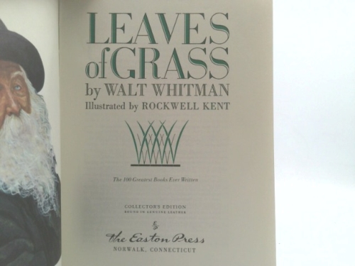 Actual Product Display 2