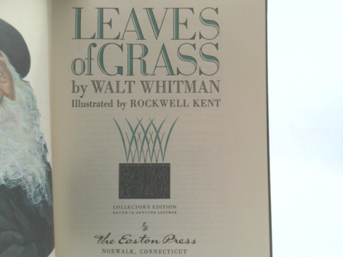 Actual Product Display 2