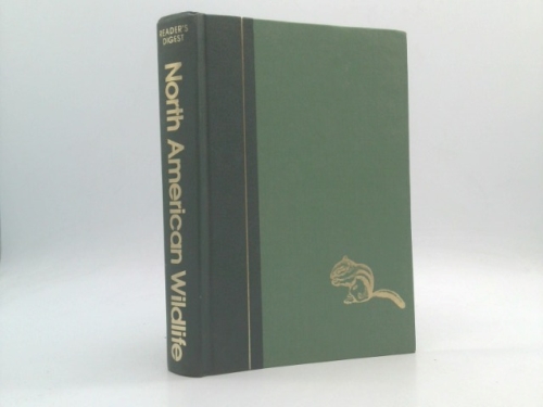 Actual Product Display Primary Cover