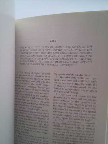 Actual Product Display 5