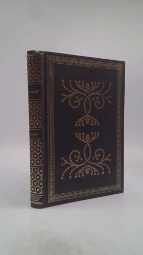 Actual Product Display Primary Cover