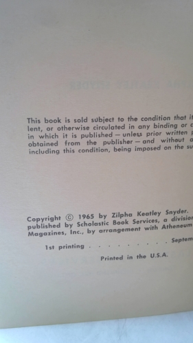 Actual Product Display 2