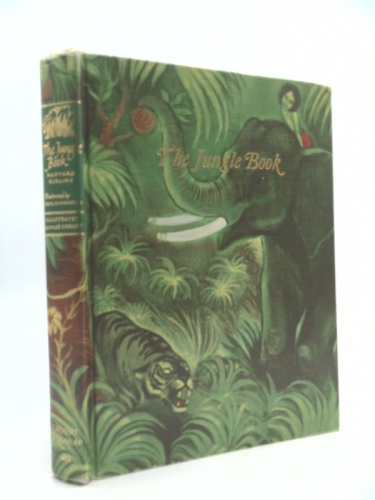 Actual Product Display Primary Cover