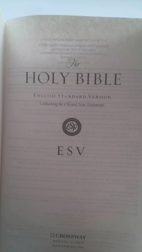 Actual Product Display 2