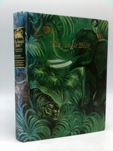 Actual Product Display Primary Cover