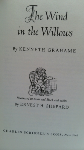 Actual Product Display 2