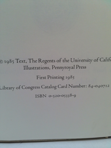 Actual Product Display 2