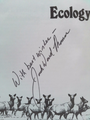 Actual Product Display 2