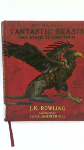 Actual Product Display Primary Cover