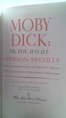 Actual Product Display 2