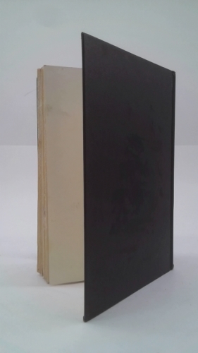 Actual Product Display 4