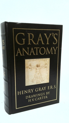Gray's Anatomy by Henry Gray (Leather Bound) by Barnes & Noble