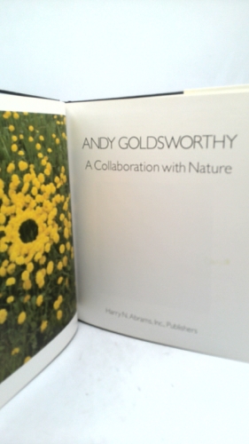 Actual Product Display 2