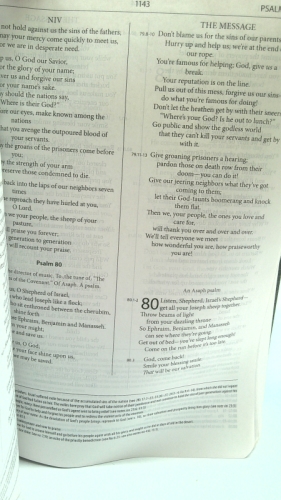 Actual Product Display 3