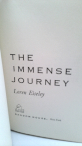 Actual Product Display 2