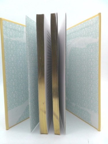 Actual Product Display 3