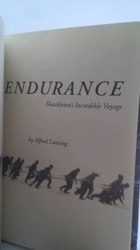 Actual Product Display 3