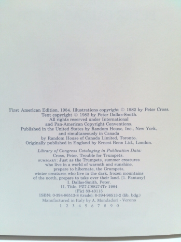 Actual Product Display 2