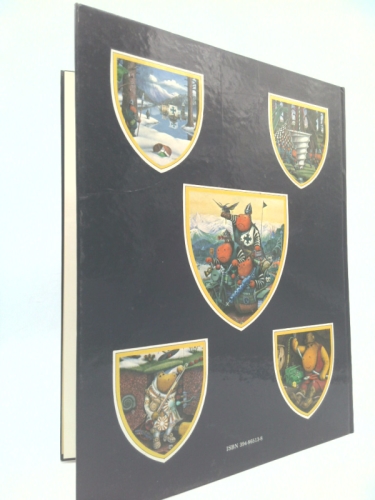 Actual Product Display 3