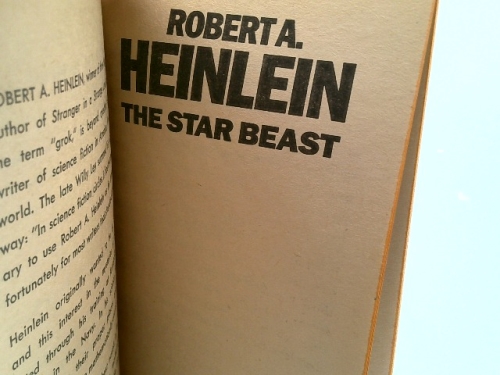 Actual Product Display 2