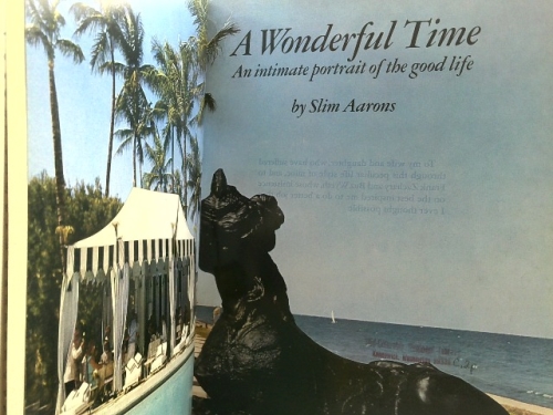 Actual Product Display 2