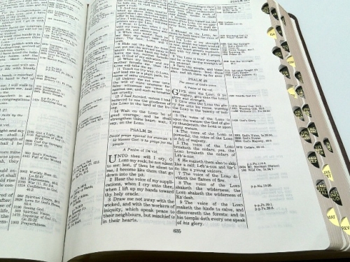 Actual Product Display 3