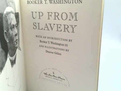 Actual Product Display 2