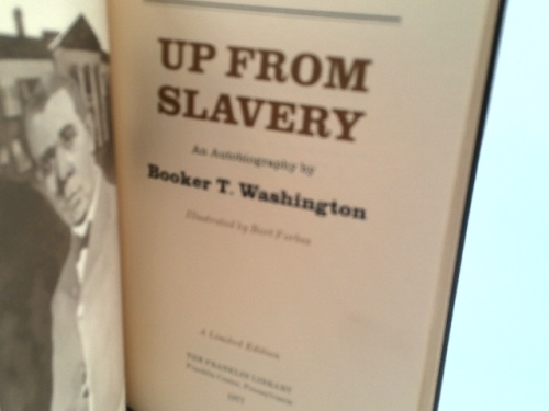 Actual Product Display 2