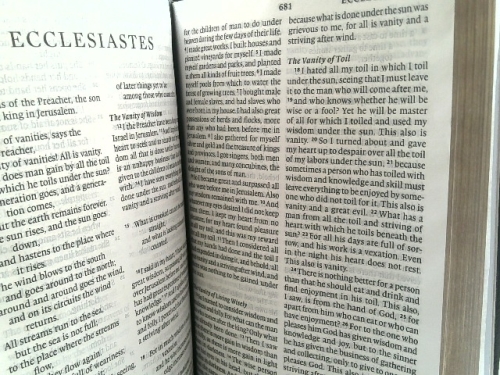 Actual Product Display 3