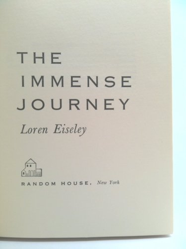 Actual Product Display 2