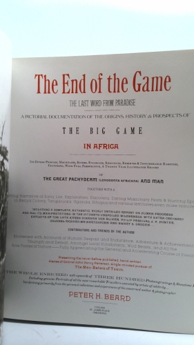 Actual Product Display 2