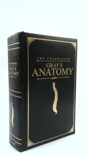 Anatomy, Descriptive and Surgical