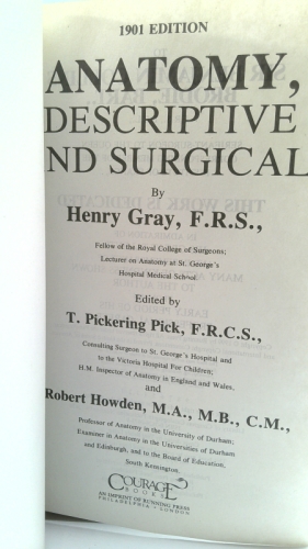 Actual Product Display 2