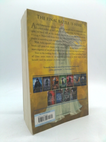 Actual Product Display 3