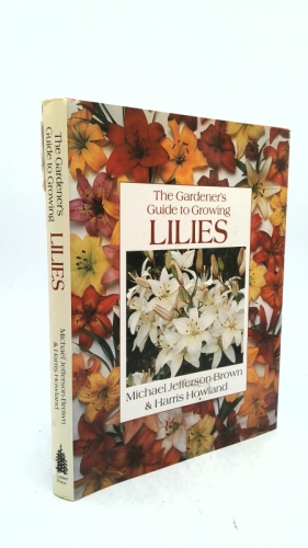 Actual Product Display Primary Cover