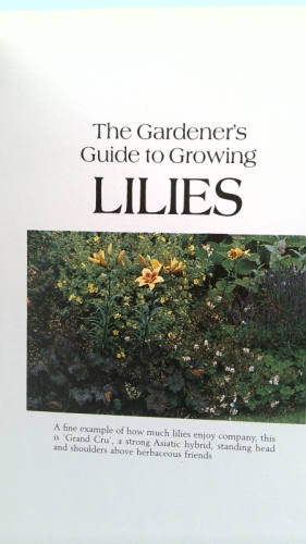 Actual Product Display 2