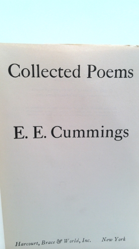 Actual Product Display 2