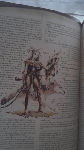 Actual Product Display 3