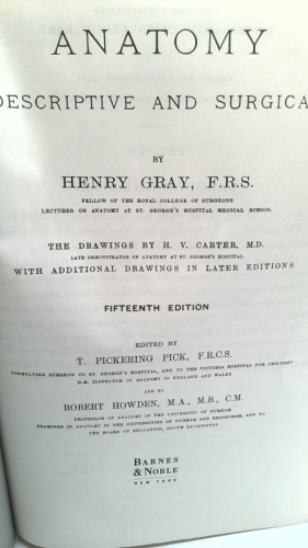 Actual Product Display 2