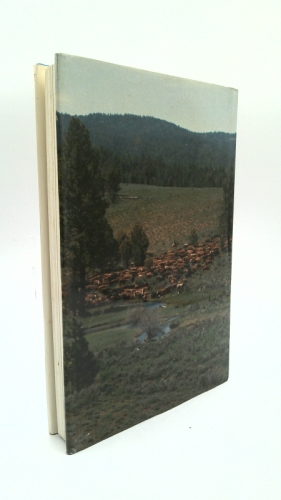 Actual Product Display 3