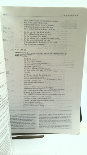 Actual Product Display 3