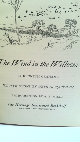 Actual Product Display 2